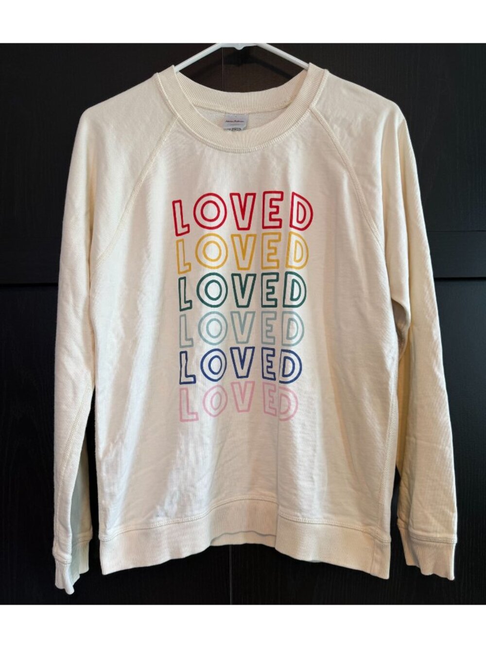 Hanna Andersson Women's Pullover Crew Neck French Terry Loved Sweater Small Cozy
